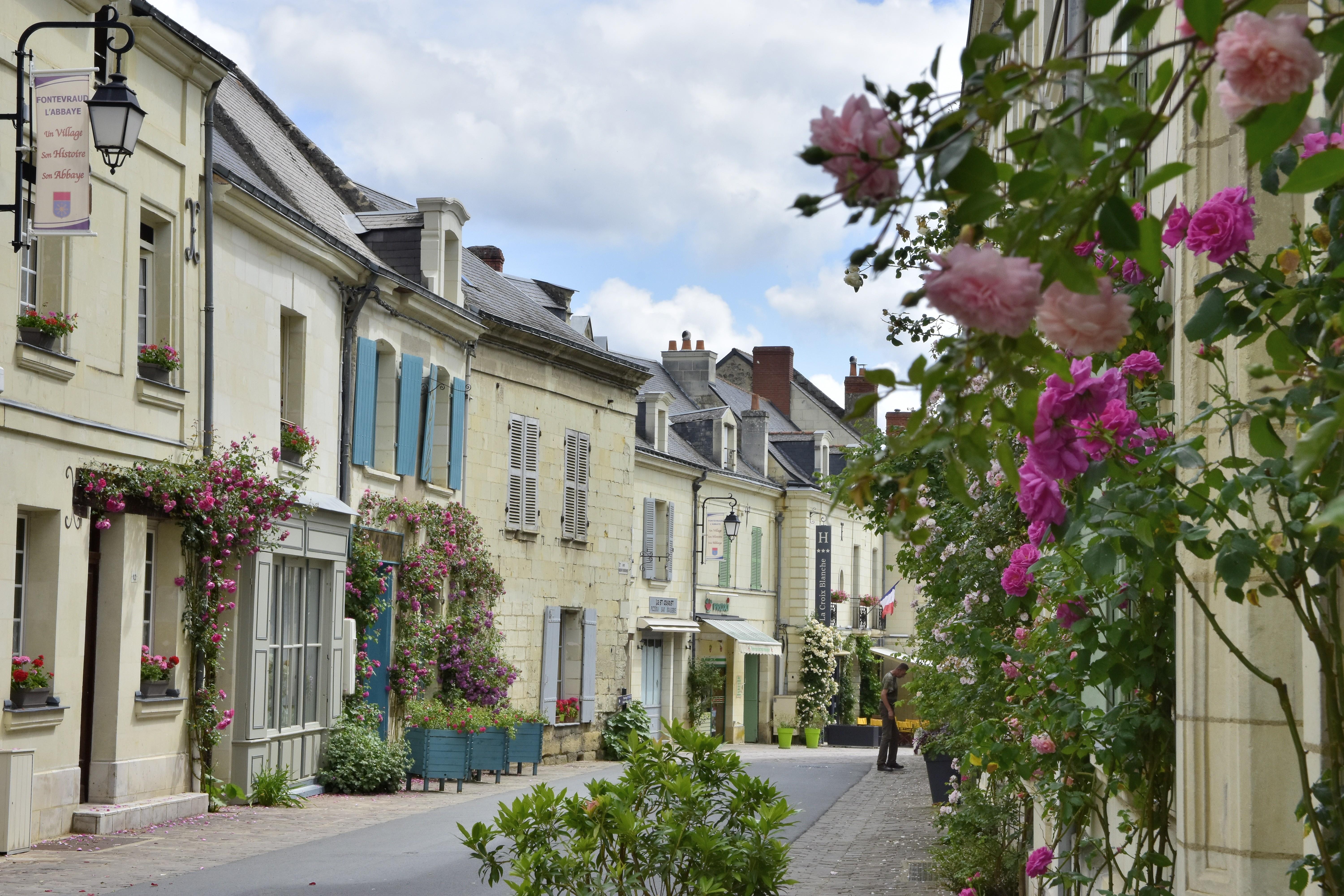 Logis Hotel La Croix Blanche Fontevraud Экстерьер фото